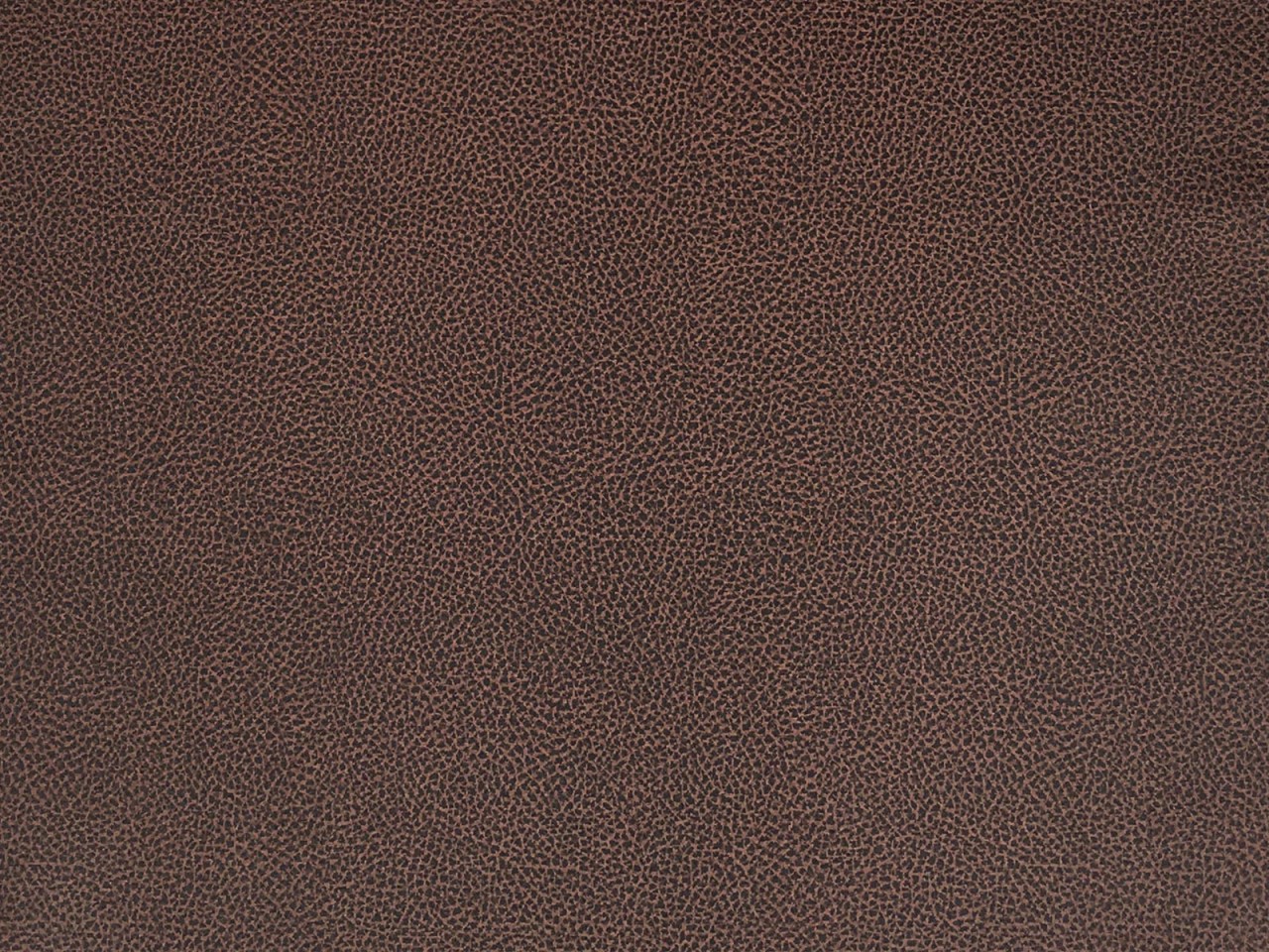 Esszimmer Stuhl Rattanstuhl Wintergarten Korbstuhl nachhaltig Cardine cabana braun Esszimmer Stuhl Rattanstuhl Wintergarten Korbstuhl nachhaltig Cardine cabana braun