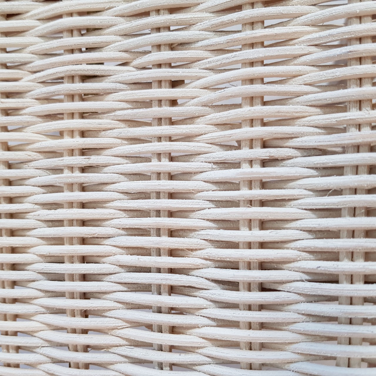 Esszimmer Stühle 6 Stück Rattanstühle Esstisch Stühle Wintergarten Cardine weiß